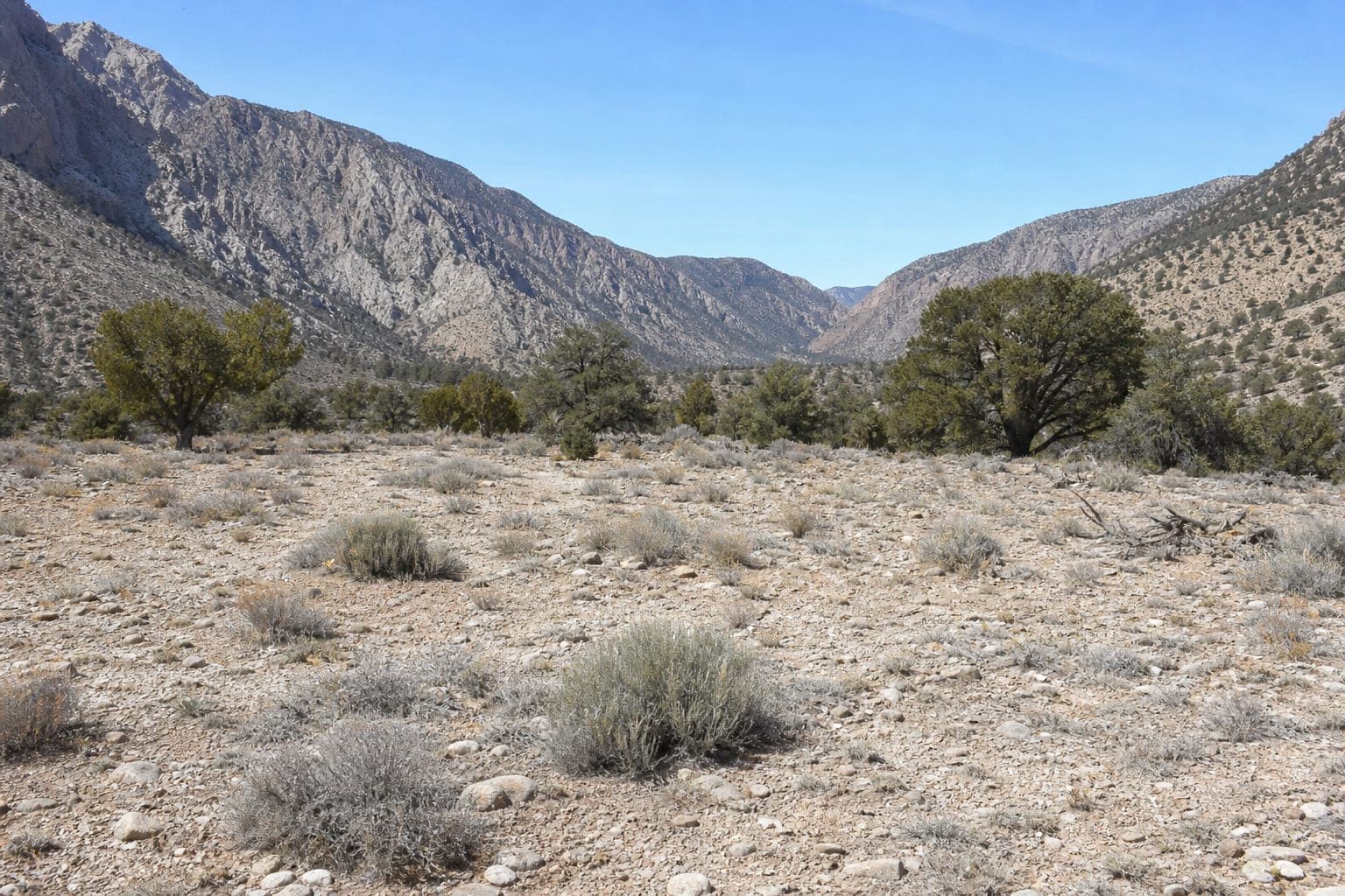Lot 2 raw land APN 135-31-801-006 — Lovell Canyon, Clark County, Nevada 89124