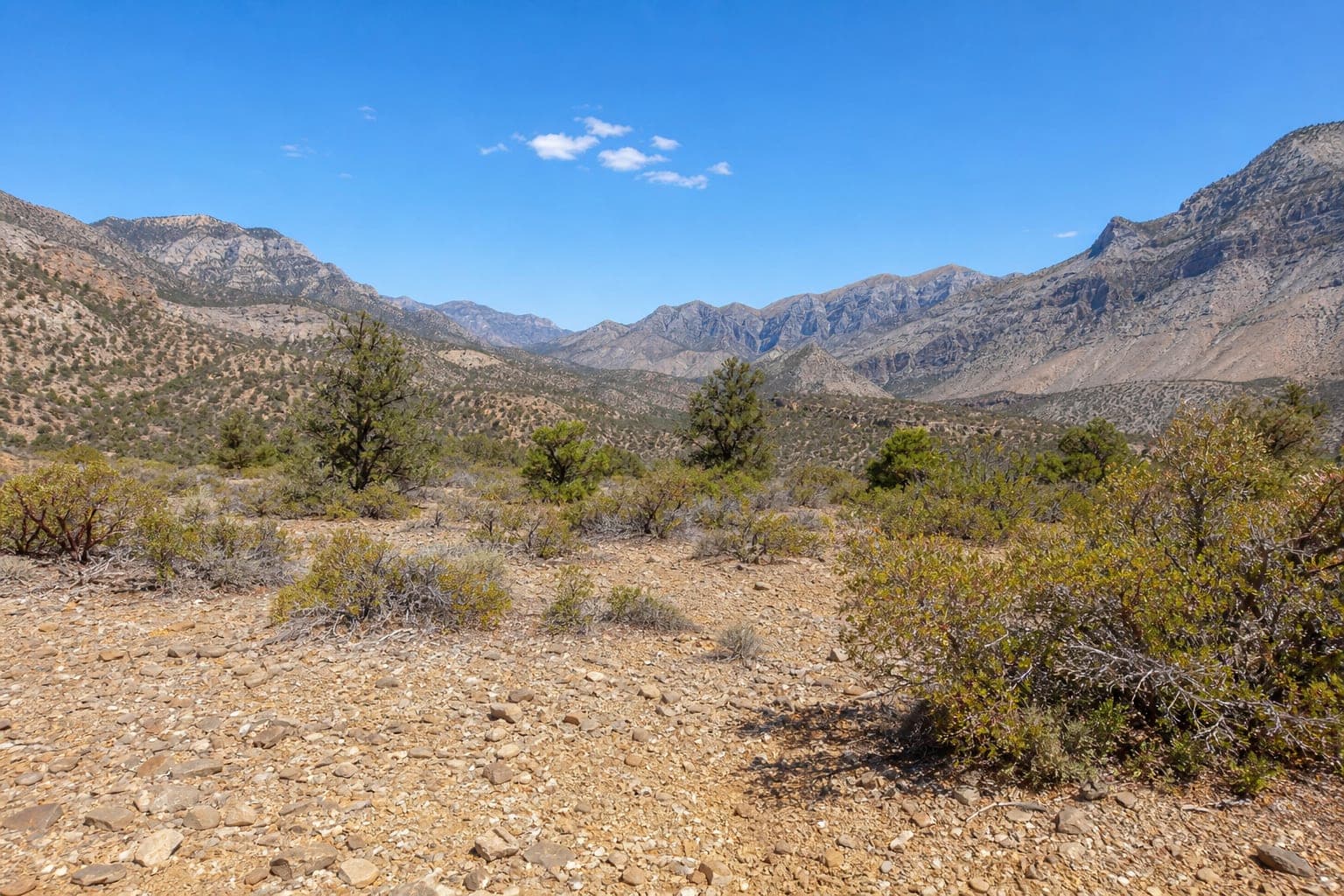 Lot 3 raw land APN 135-31-801-007 — Lovell Canyon, Clark County, Nevada 89124