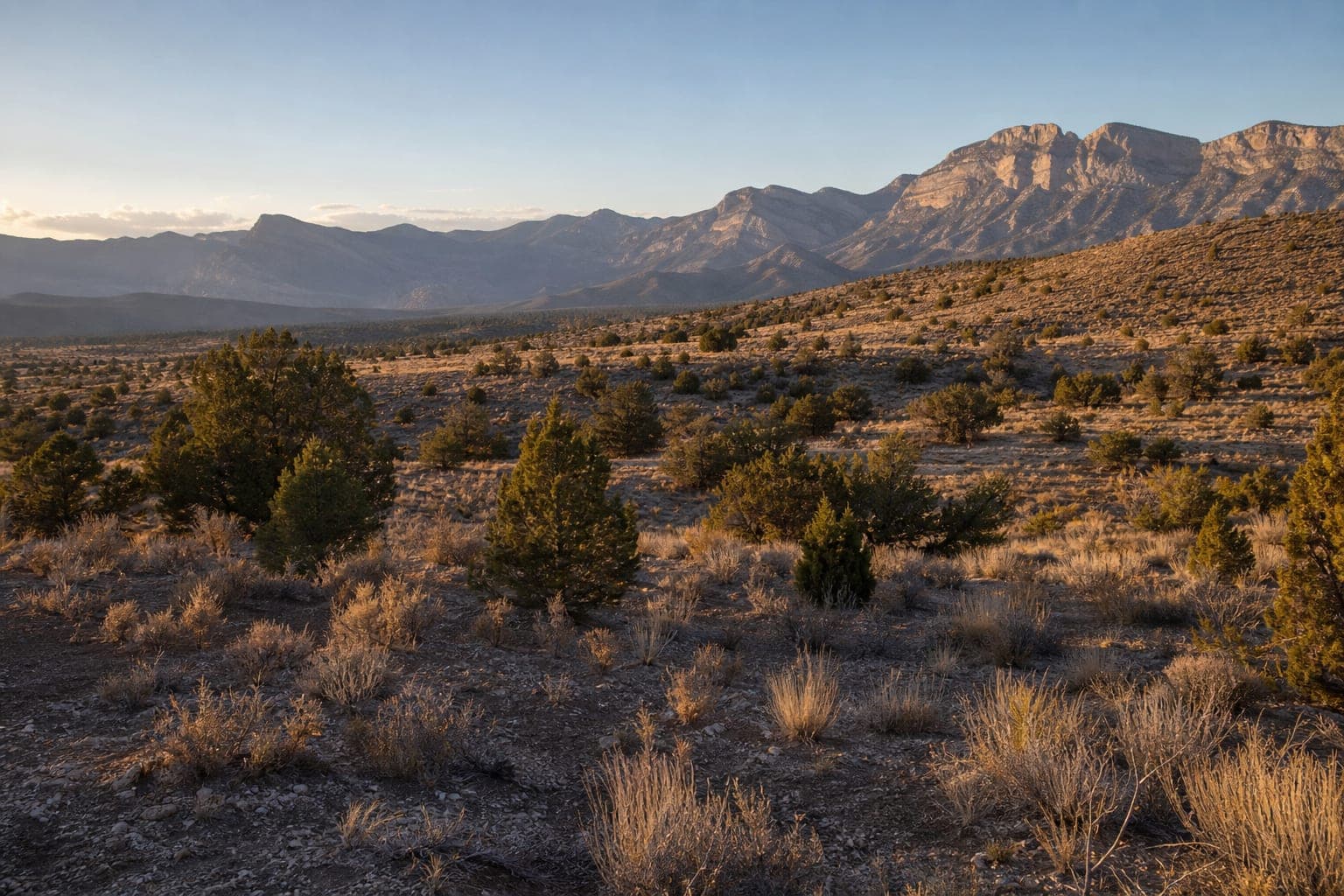 Lovell Canyon, Clark County, Nevada 89124 raw land for sale — Lot 2 and Lot 3 (APN 135-31-801-006 and 007), Section 31 T20S R57E — Dr. Jan Duffy, Land Specialist